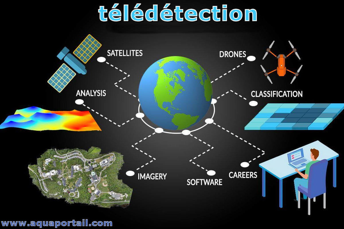 Semestre 2 - SPECIALITES