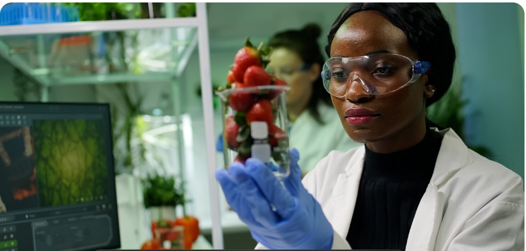Géomatique et prévision de la productivité agricole 
