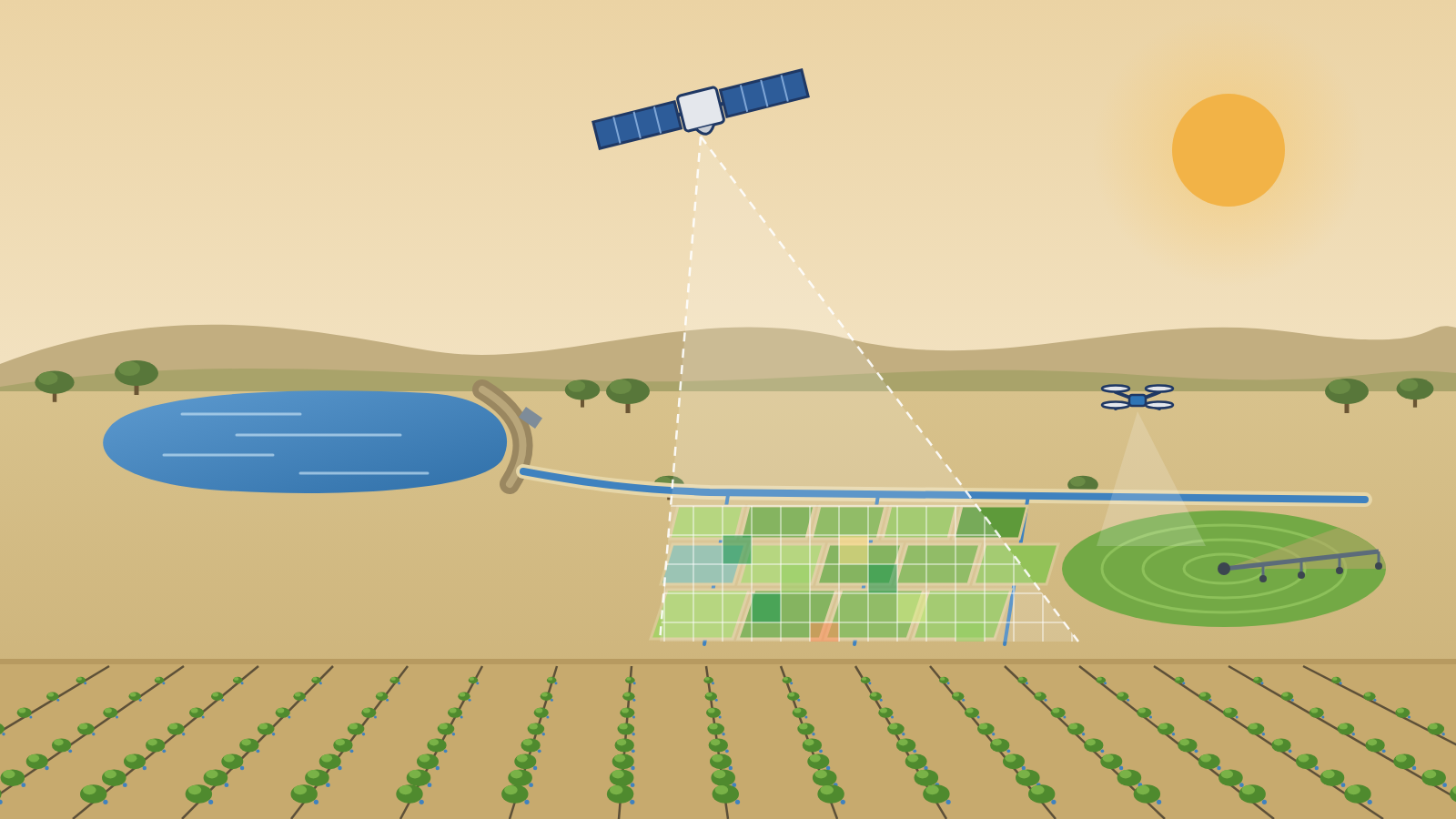 Eau agricole, irrigation et aménagements hydrauliques